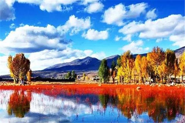 雙凱智能：說走就走旅行？有TA更輕松